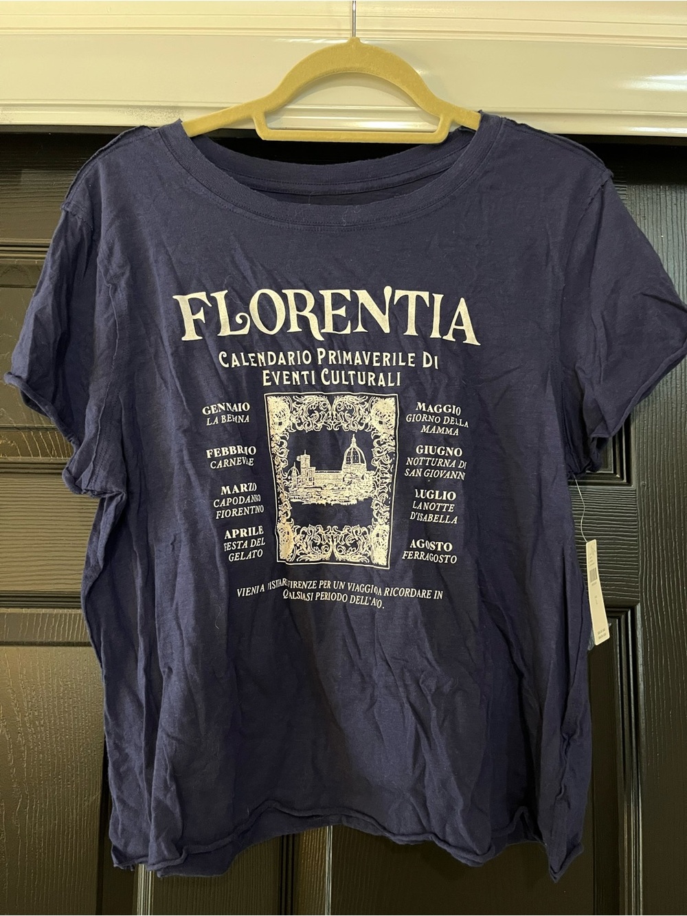 Anthropologie Florentia Navy Graphic Tee